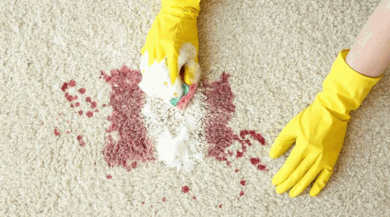 How to Remove Dried Blood Stains from Carpet